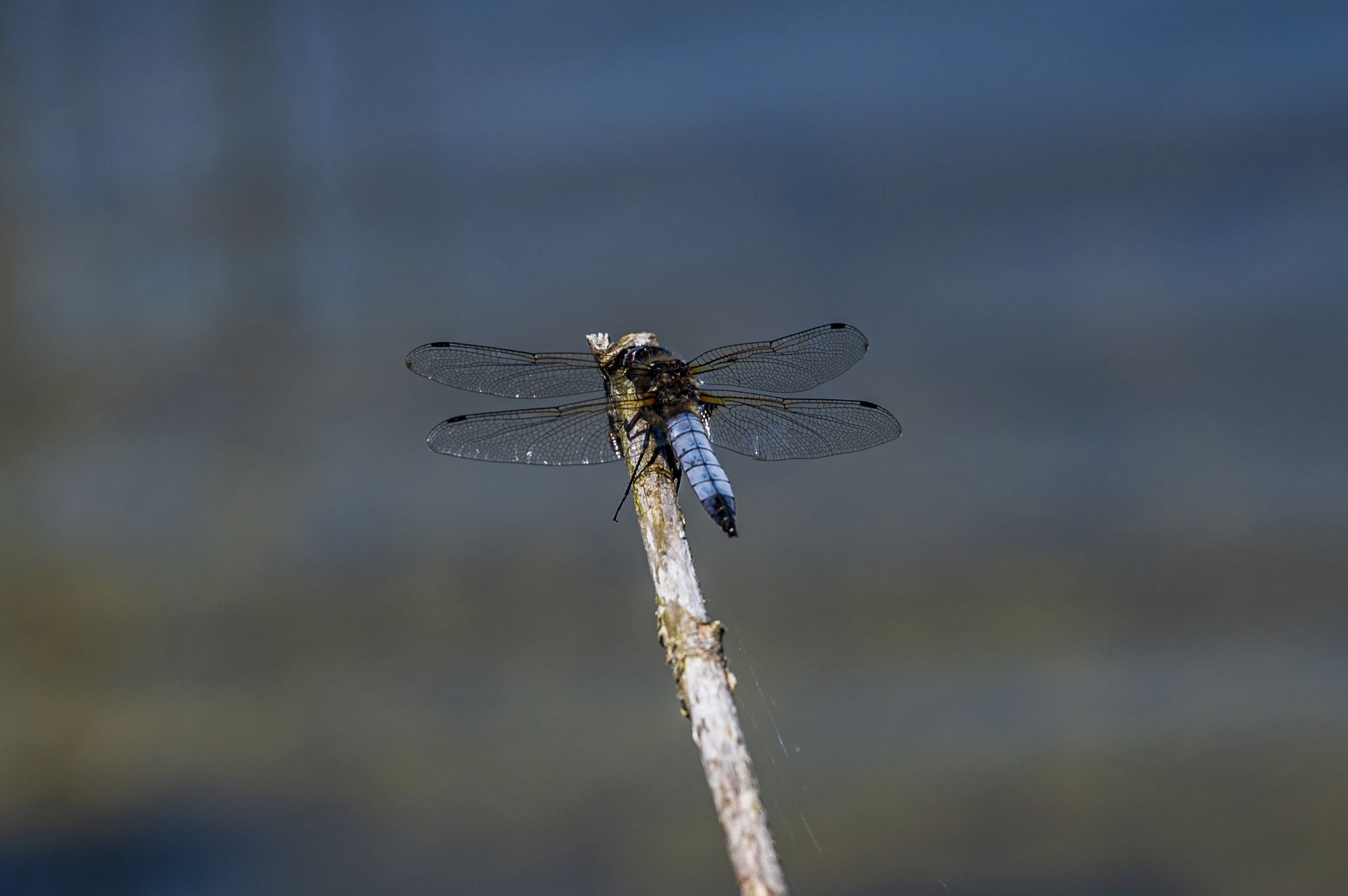 Kajaktour Staffelsee 12.06.22